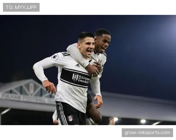 拉涅利执掌南安普顿，球队状态回暖开启新篇章