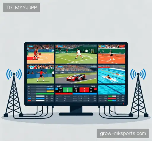 我们的竞争优势